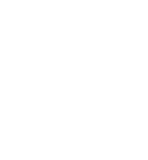 Combustible
