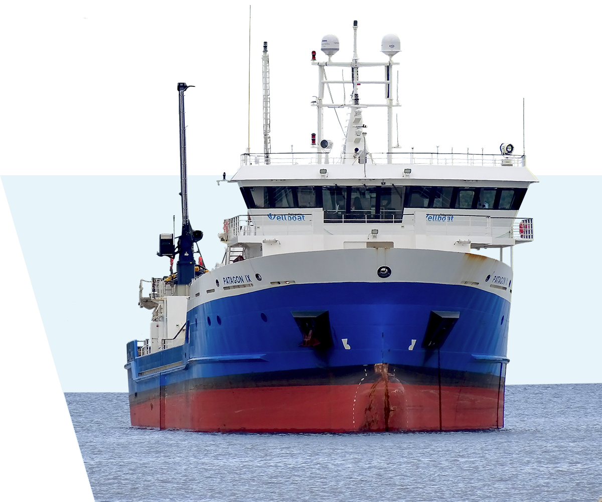 Tec-Bordo2